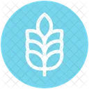 Wheat Grain Agriculture Icon