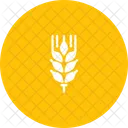Wheat Grain Whole Icon