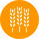 Wheat Crop Grain Icon