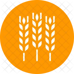 Wheat  Icon