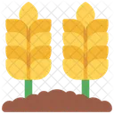 Wheat Field Agriculture Icon