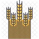 Field Wheat Agriculture Icon