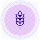 Wheat Field Wheat Field Icon