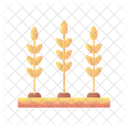 Wheat Field  Icon