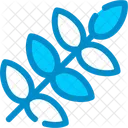 Wheat Cereal Crop Icon