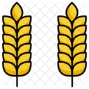 Wheat Food Healthy Icon