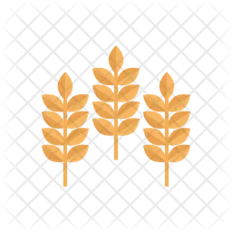 Wheat Plant  Icon