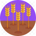 Wheat Plantation  Icon
