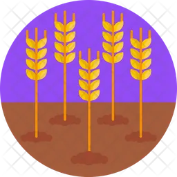 Wheat Plantation  Icon