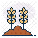Wheat Production  Icon