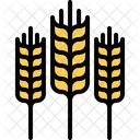 Wheat Spike  Icon