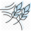 Wheat Swaying In Wind Wheat Swaying Icon