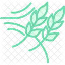 Wheat Swaying In Wind Wheat Swaying Icon