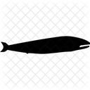 Whele Animals Icon