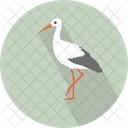 White Ibis Aves Icon