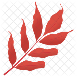 White Ash Icon