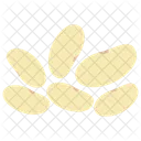 White Beans Seeds Pulses Icon