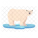 White Bear  Icon