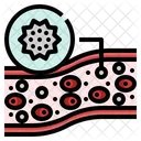White Blood Blood Cell Immunity Icon