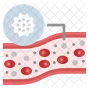 White Blood Blood Cell Immunity Icon