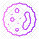 White Blood Cell Leukocyte Icon