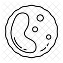 White Blood Cell Icon