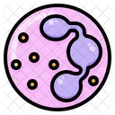 White Blood Cell Wbc Biology Icon