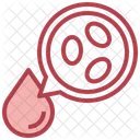 White Blood Cell Blood Cells Blood Drop Icon