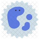 White Blood Cell Blood Cell Medical Biology Icon