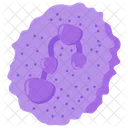 White Blood Cell White Cell Leucocytes Icon