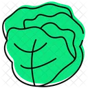 White Cabbage Fresh Uncooked Icon