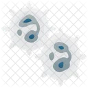 White Cell  Icon