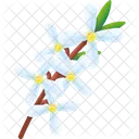 Flower Nature Plant Icon