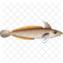 White Hake Fish Fish Food Icon