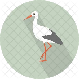White Ibis  Icon