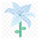 White Lily  Icon