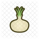 White Onion Vegetable Onion Icon