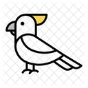 White Parrot Parrot Bird Icon