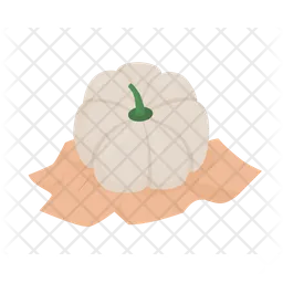 White pumpkin  Icon