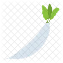 White Radish Vegetable Icon