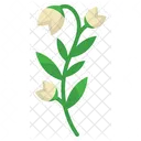 Foliage And Floral White Rose Roses Icon