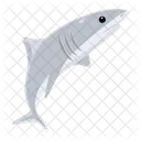 White Shark  Icon