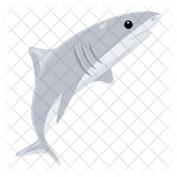 White Shark  Icon