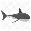 White Shark Shark Dogfish Icon