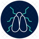 Whitefly Insect Pest Icon