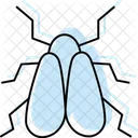 Whitefly Insect Pest Icon