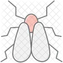 Whitefly Insect Pest Icon