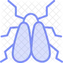 Whitefly Insect Pest Icon