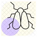 Whitefly Insect Pest Icon