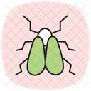 Whitefly Insect Pest Icon